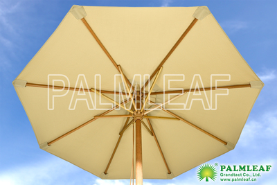 庭院伞 Patio Umbrella